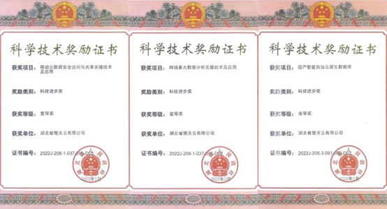 三项科学技术进取奖